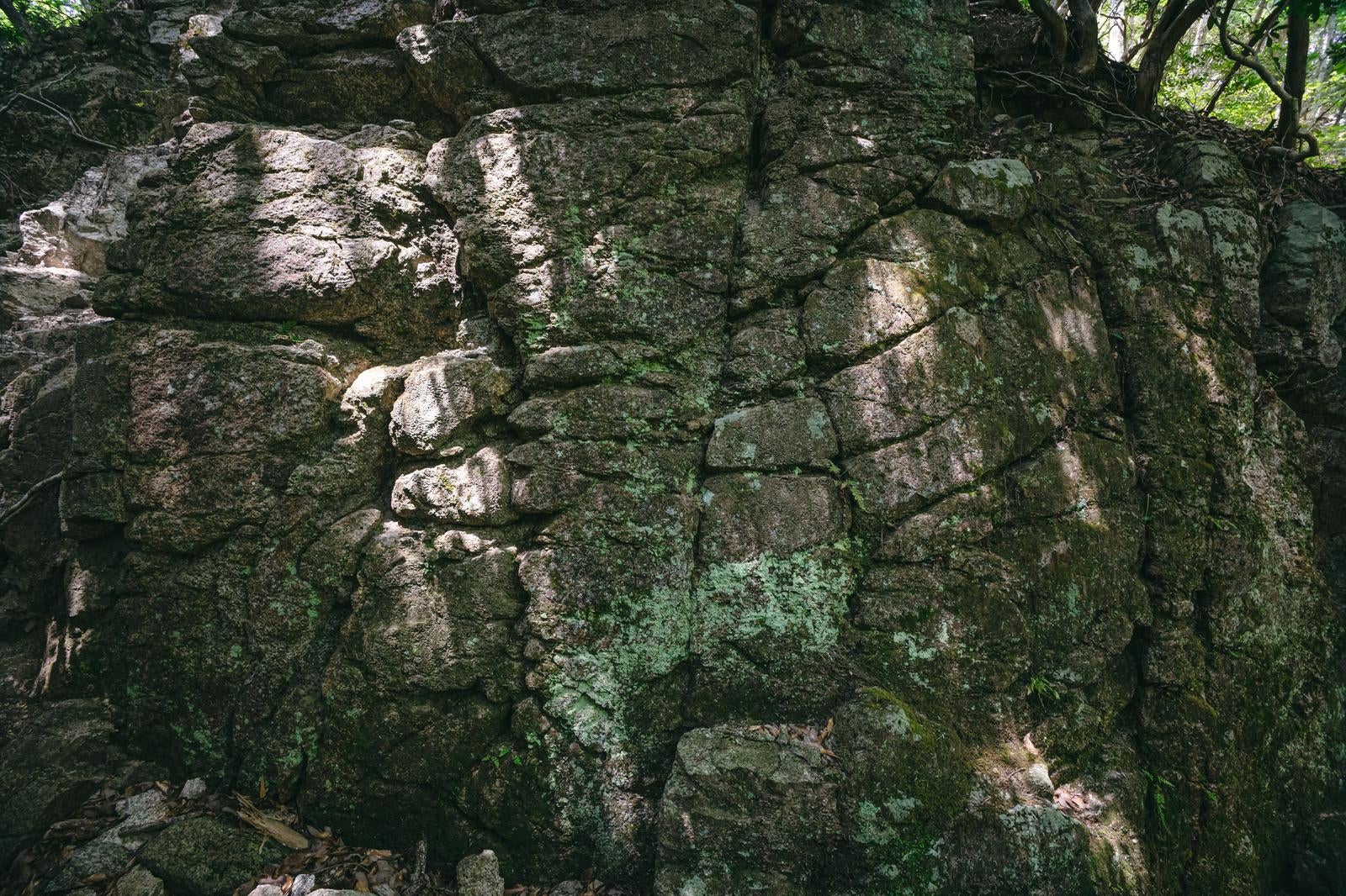 「木漏れ日の光と岩壁」の写真