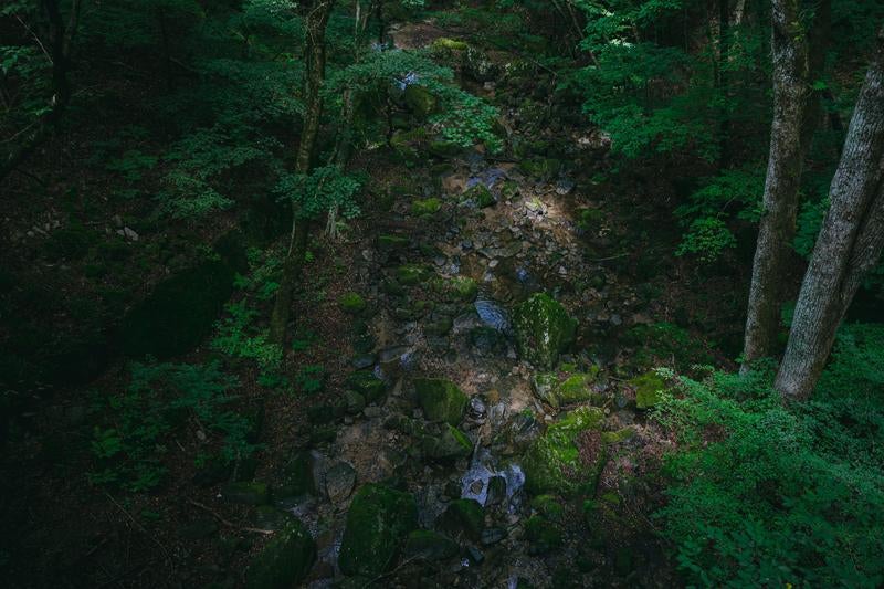 自然の癒しを感じるせせらぎの穴場スポット（行司ヶ滝遊歩道）の写真