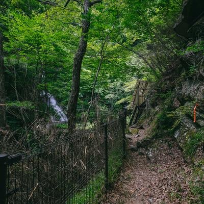 行司ヶ滝と険しい遊歩道の写真