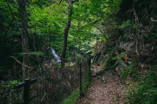 岩を沿う行司ヶ滝遊歩道の写真