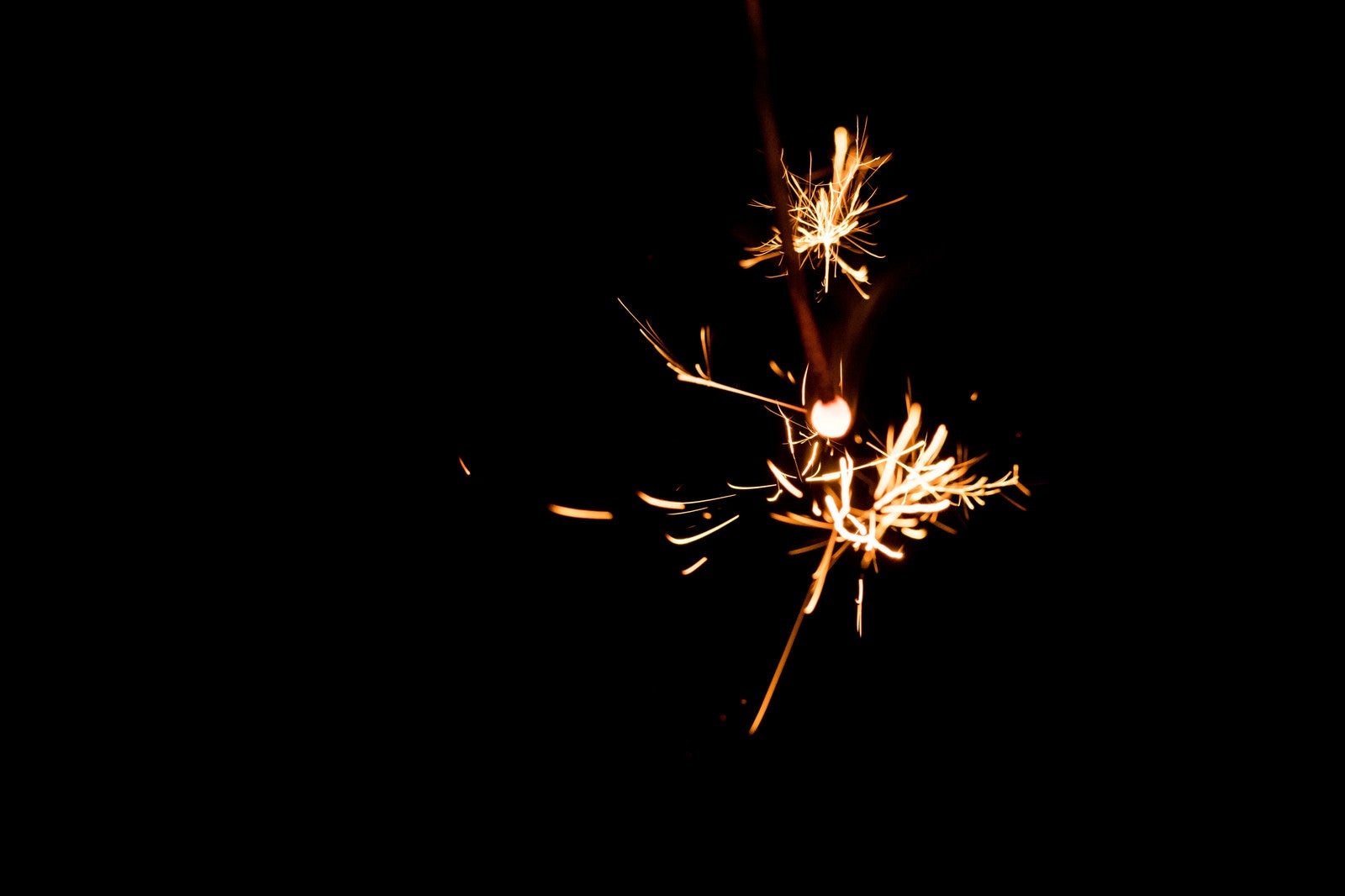 「線香花火の弾ける火花の様子」の写真