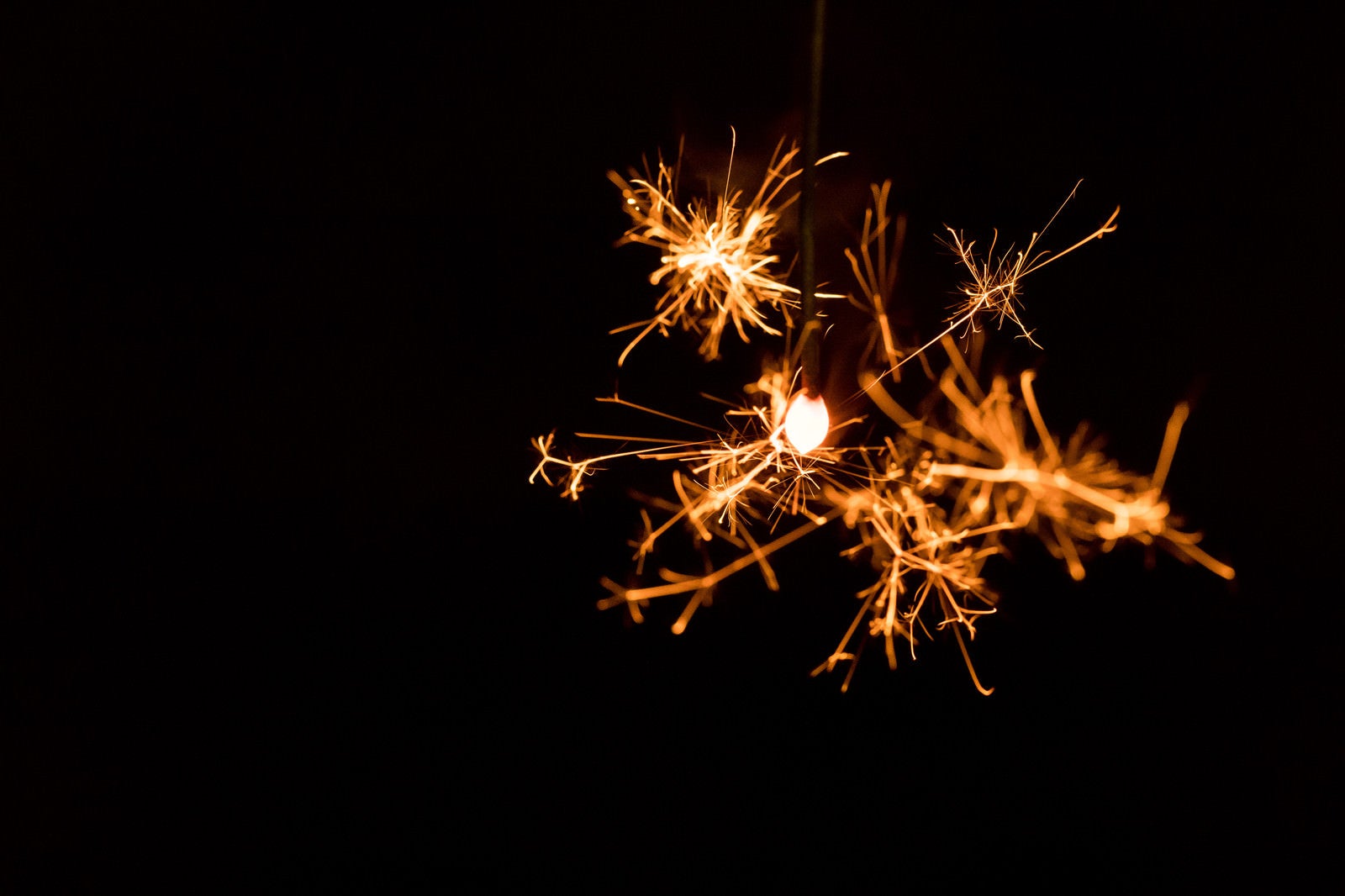 「夏を彩る線香花火」の写真