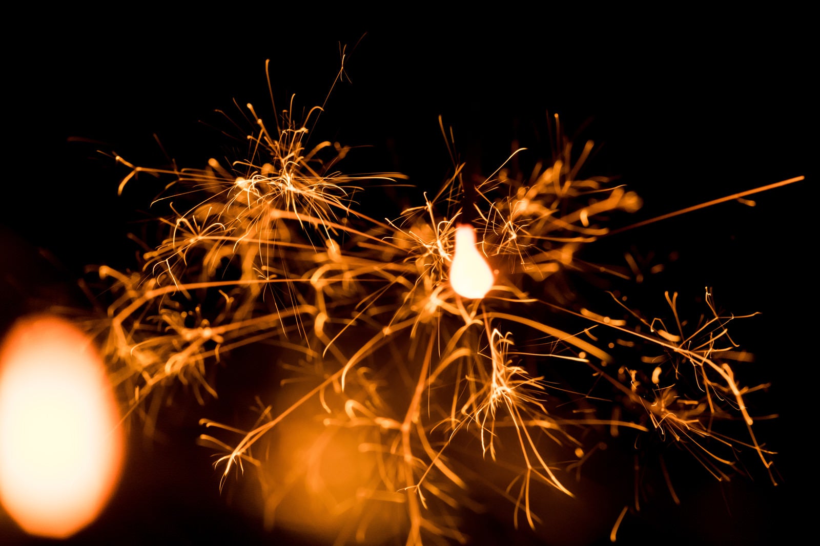 「散り散りの線香花火」の写真