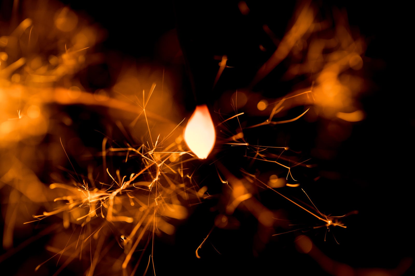 「線香花火の火花を接写」の写真