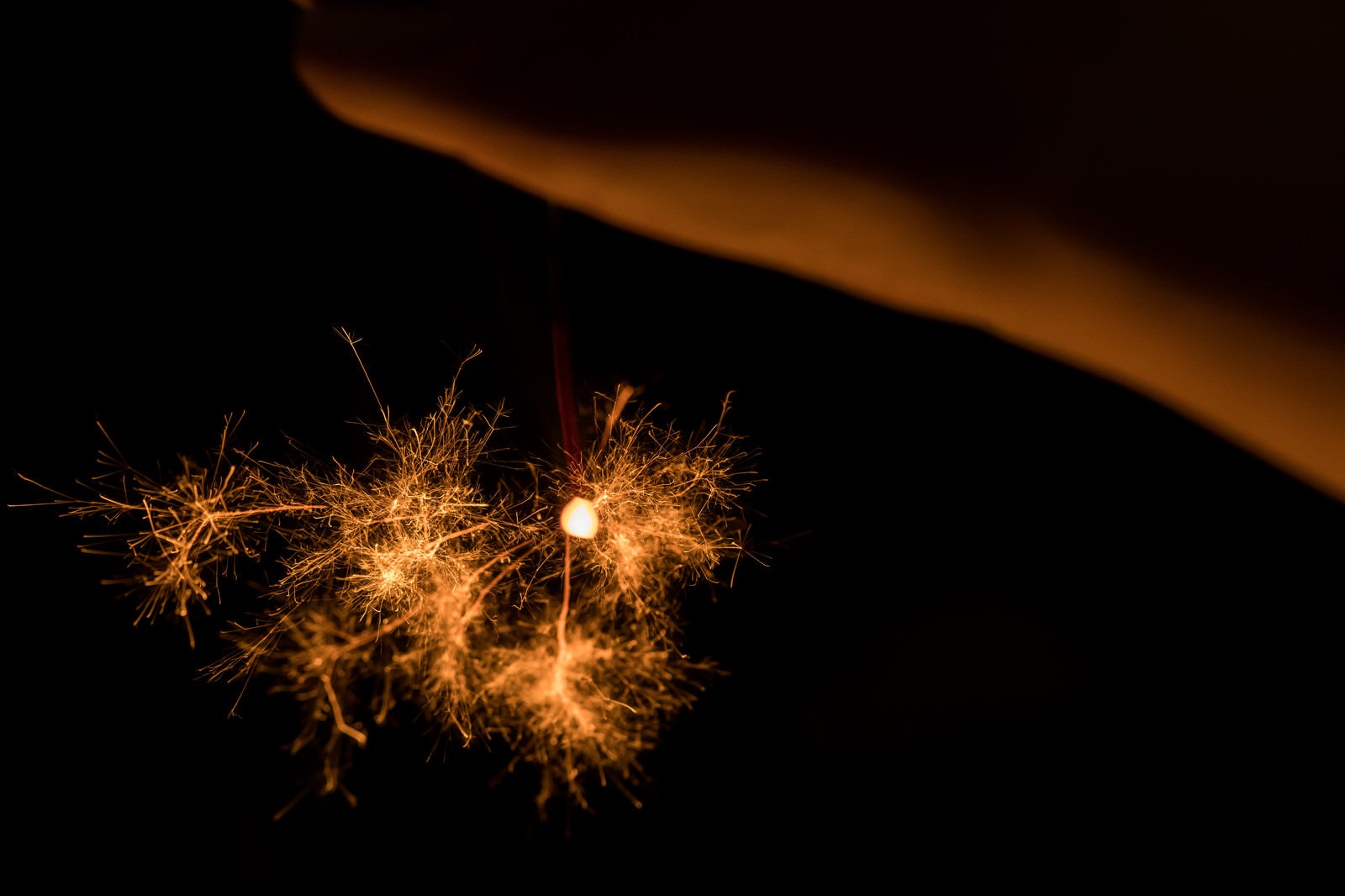 「線香花火で夏を楽しむ」の写真