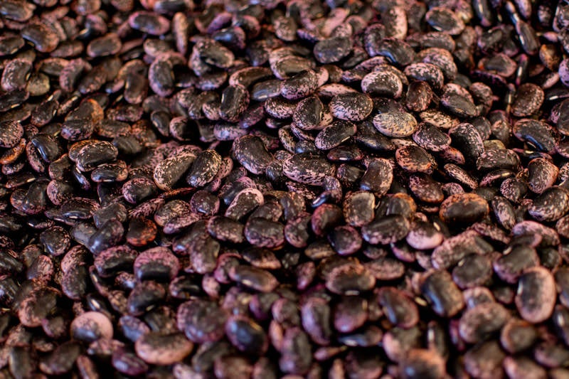 収穫された紫花豆の写真