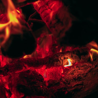 燃え尽きる焚き火の薪の写真