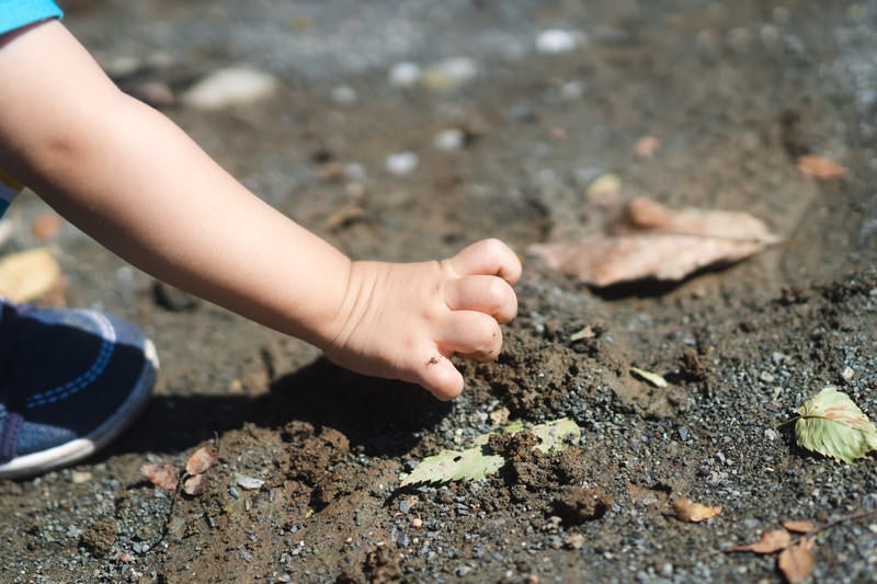 素手で土を触る子供の手の写真