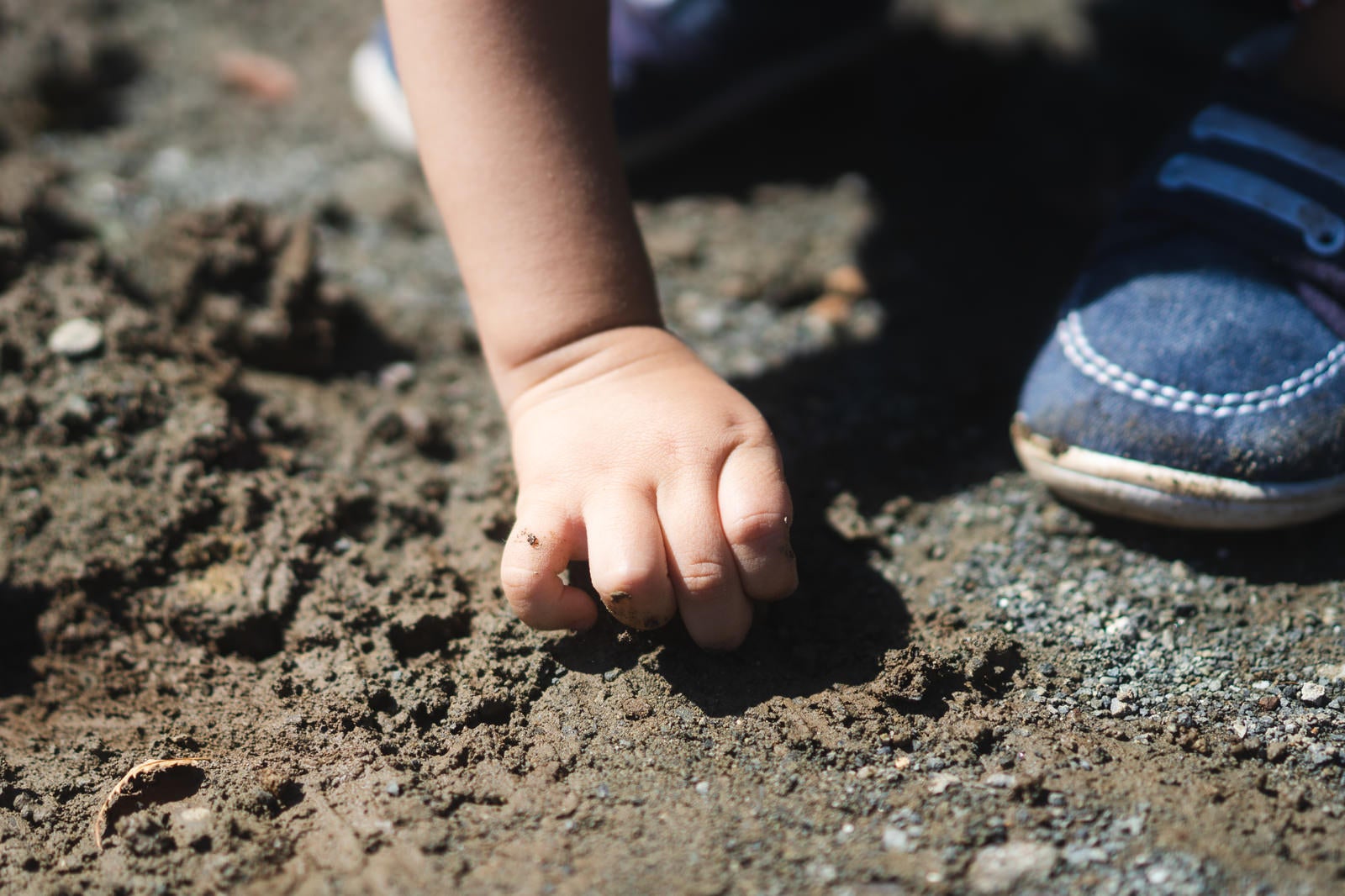 「泥遊びする子供の手」の写真