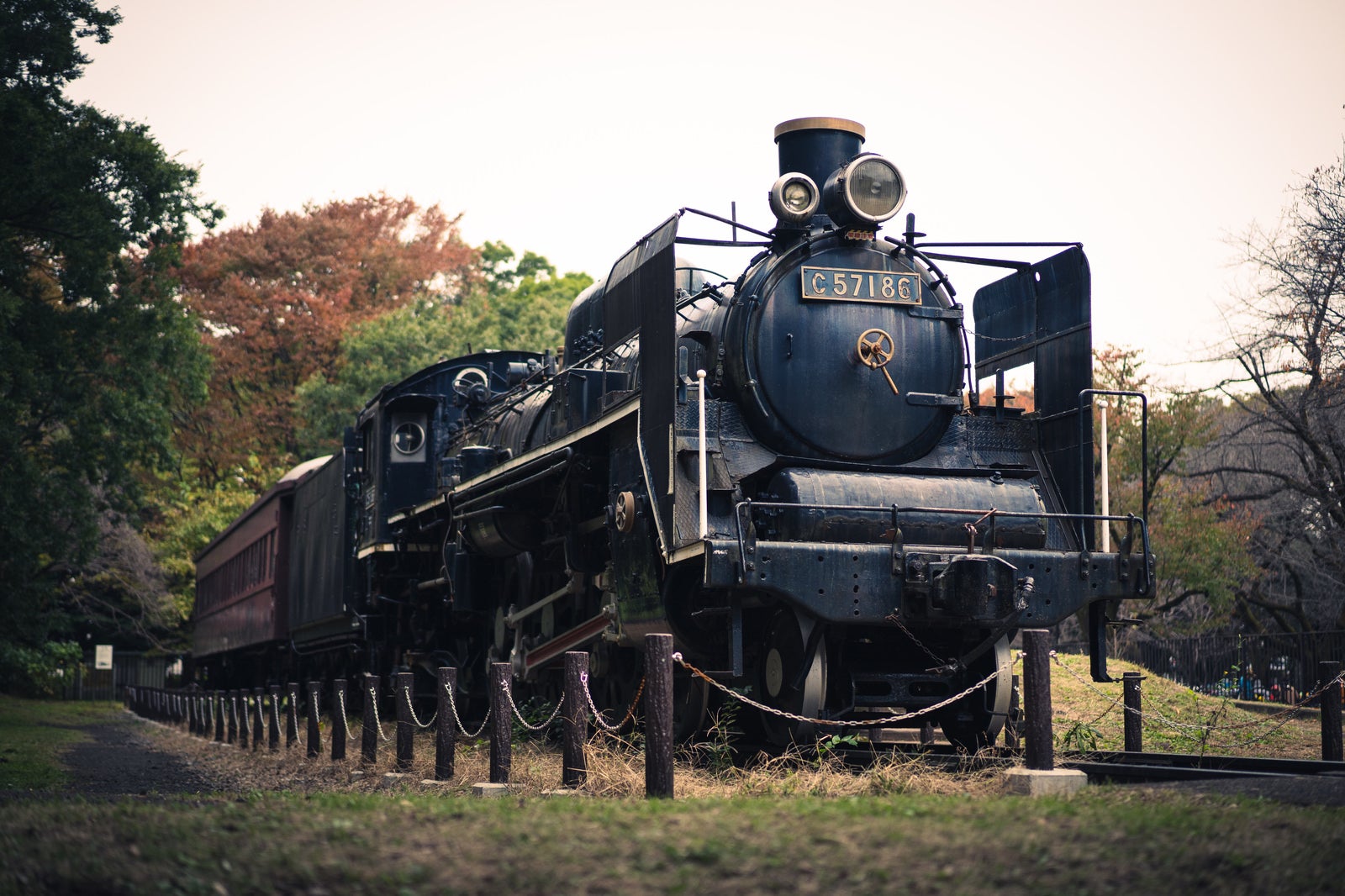 「保存車両とされた機関車C57186」の写真