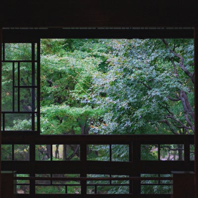 和室内から眺める新緑の庭の写真