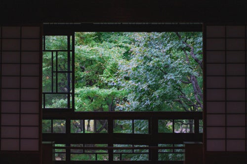 和室内から眺める新緑の庭の写真