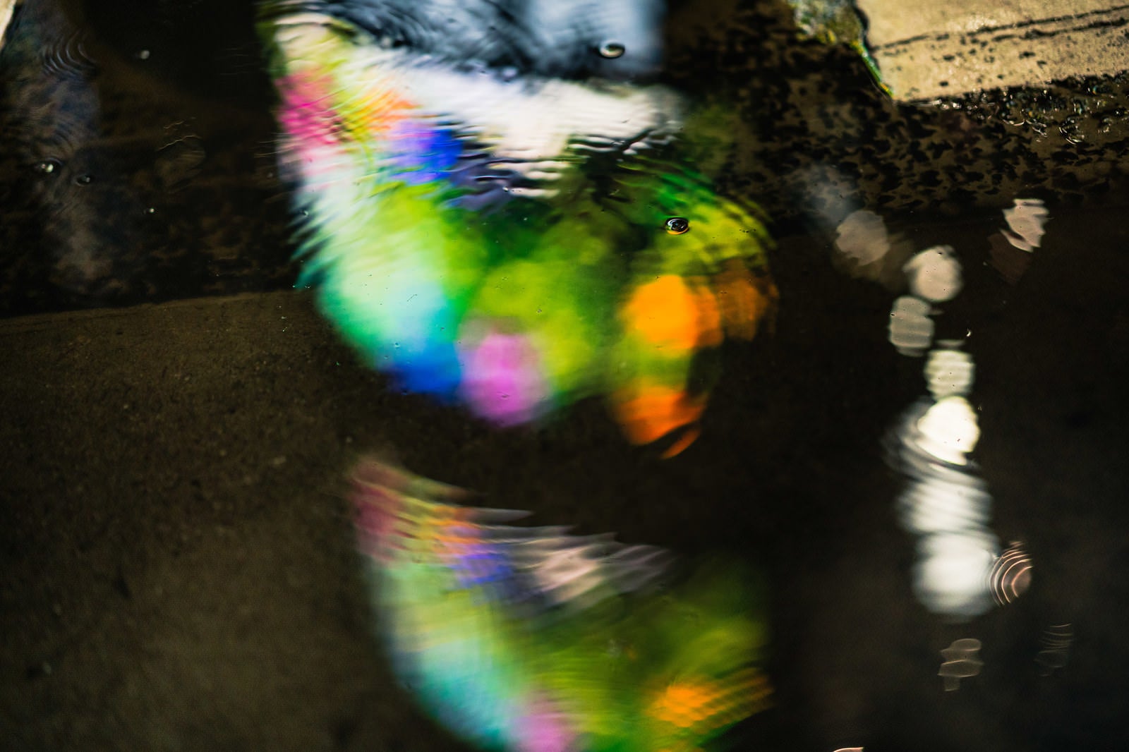 「水たまりに映る街灯りと波紋」の写真