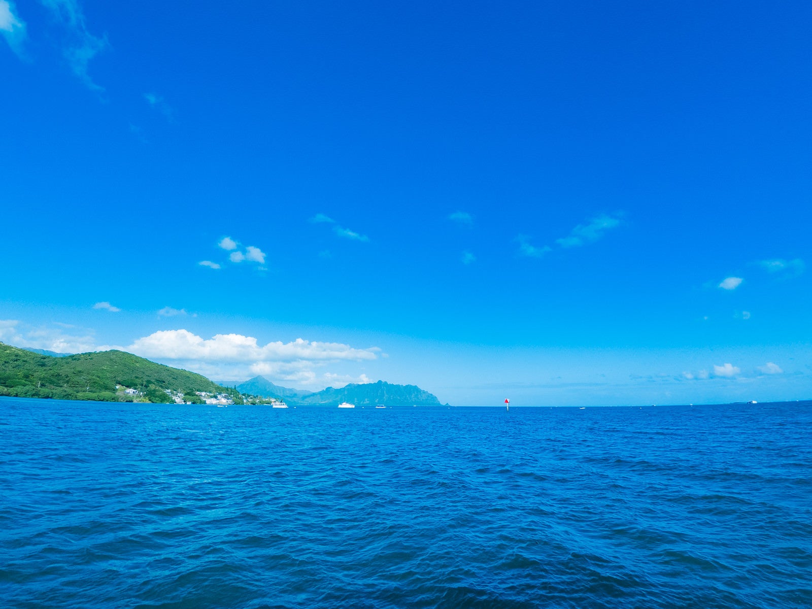 「青々としたハワイの海」の写真