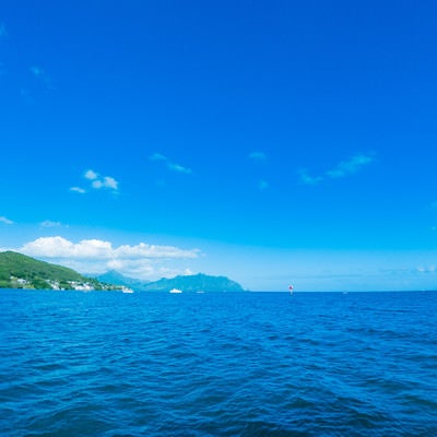 青々としたハワイの海の写真