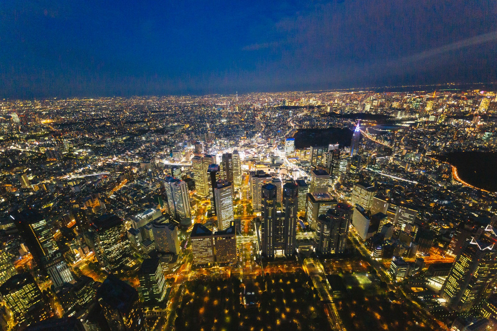 「上空から都庁と新宿を見下ろす（夜景）」の写真