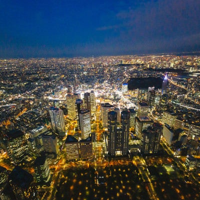上空から都庁と新宿を見下ろす（夜景）の写真