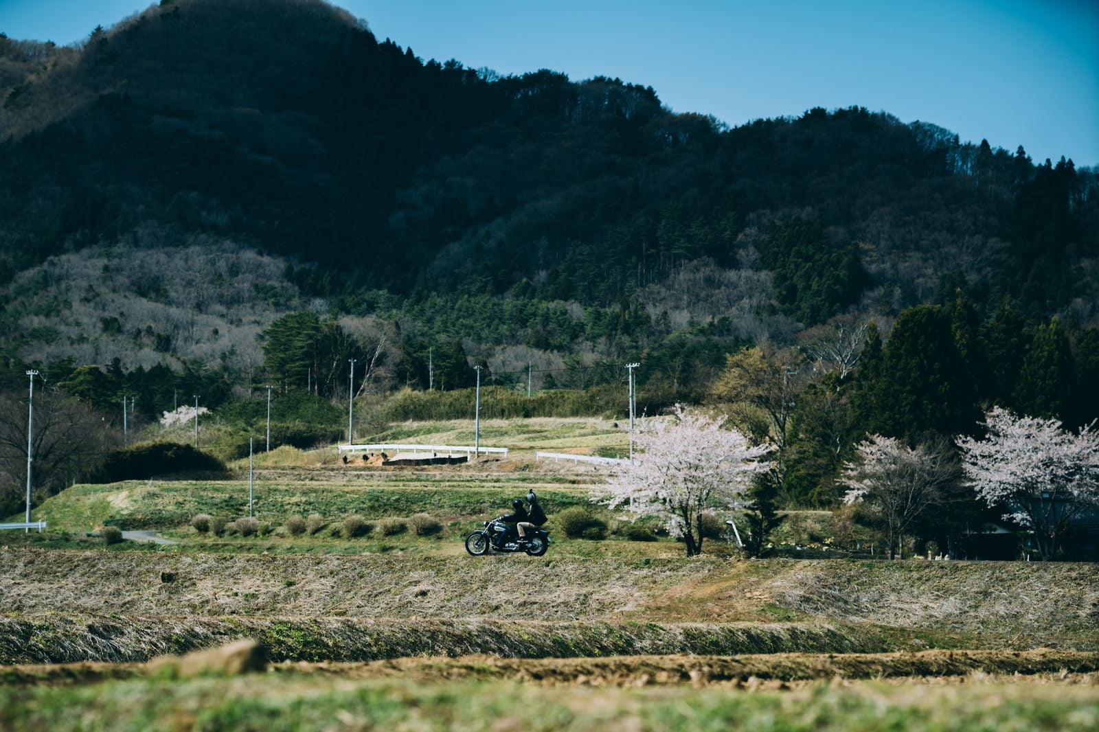 「桜を見ながらツーリング（笹原川千本桜）」の写真