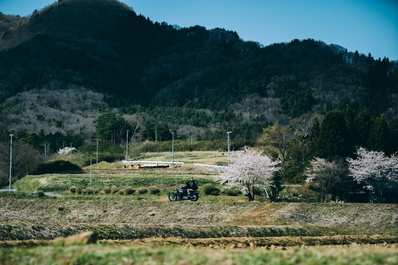 桜を見ながらツーリング（笹原川千本桜）の写真
