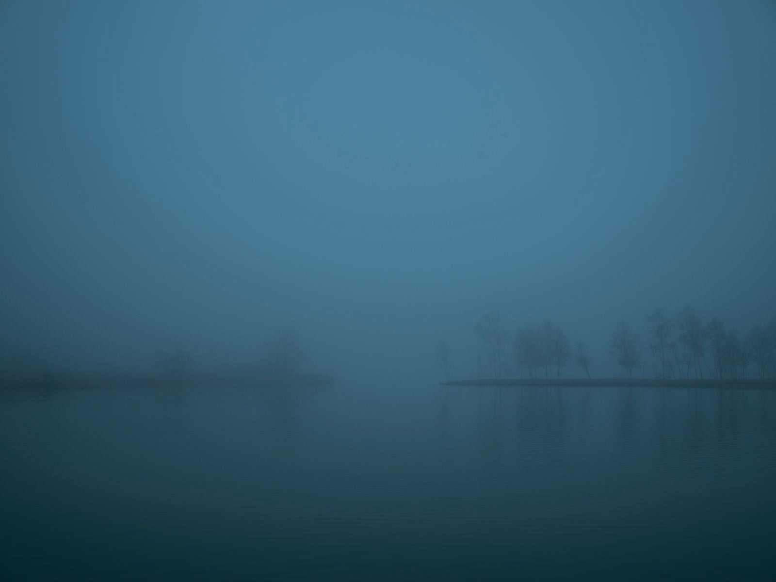 「Nuit et brouillard」の写真