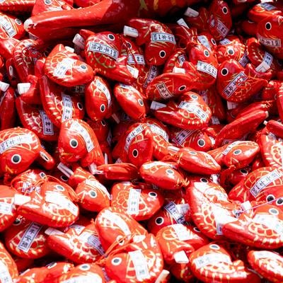 氷川神社の鯛おみくじの写真