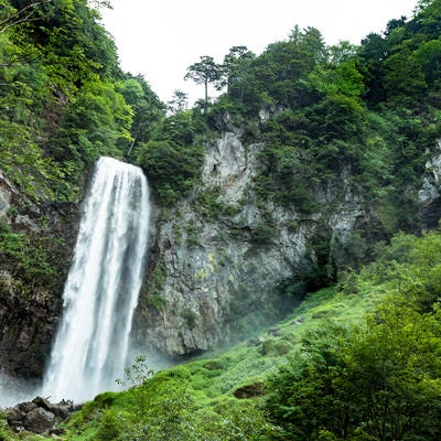 新緑の平湯大滝の写真