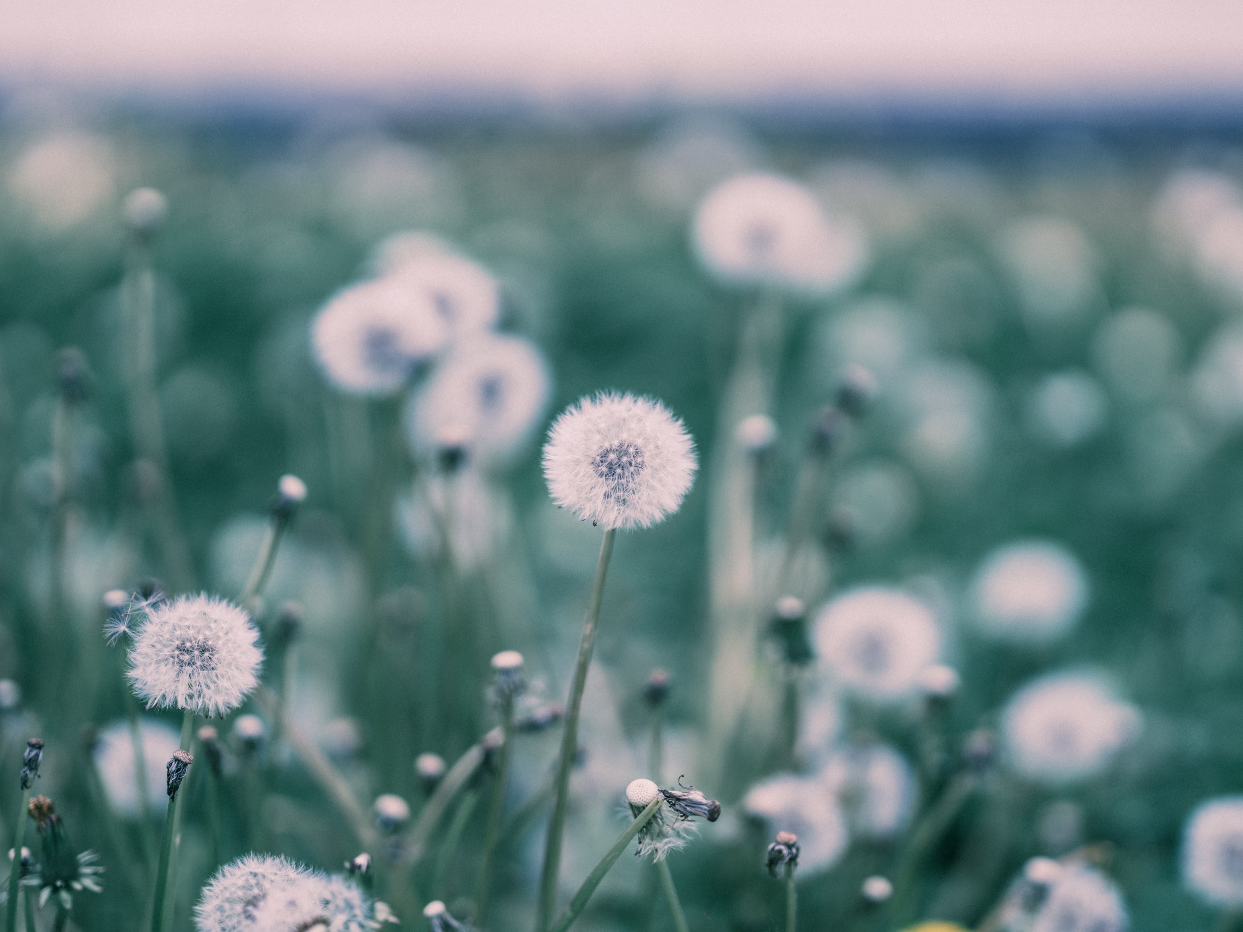 hiro2382DSCF7208.jpg?&download=1