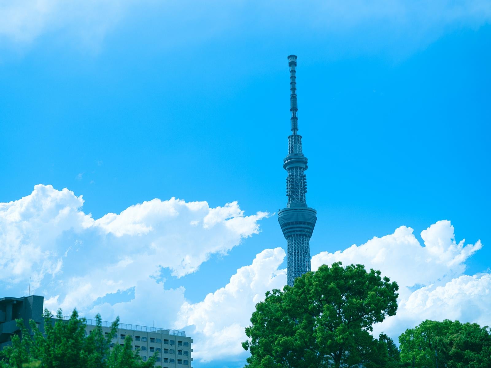「夏の青空と東京スカイツリー」の写真