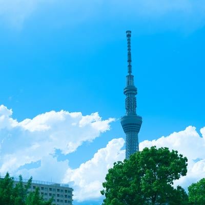 夏の青空と東京スカイツリーの写真