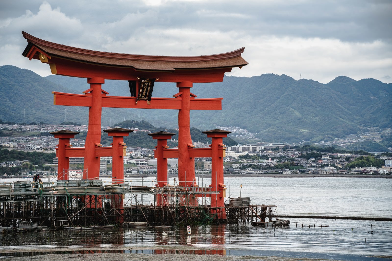 「保全修理中の厳島神社大鳥居」の写真