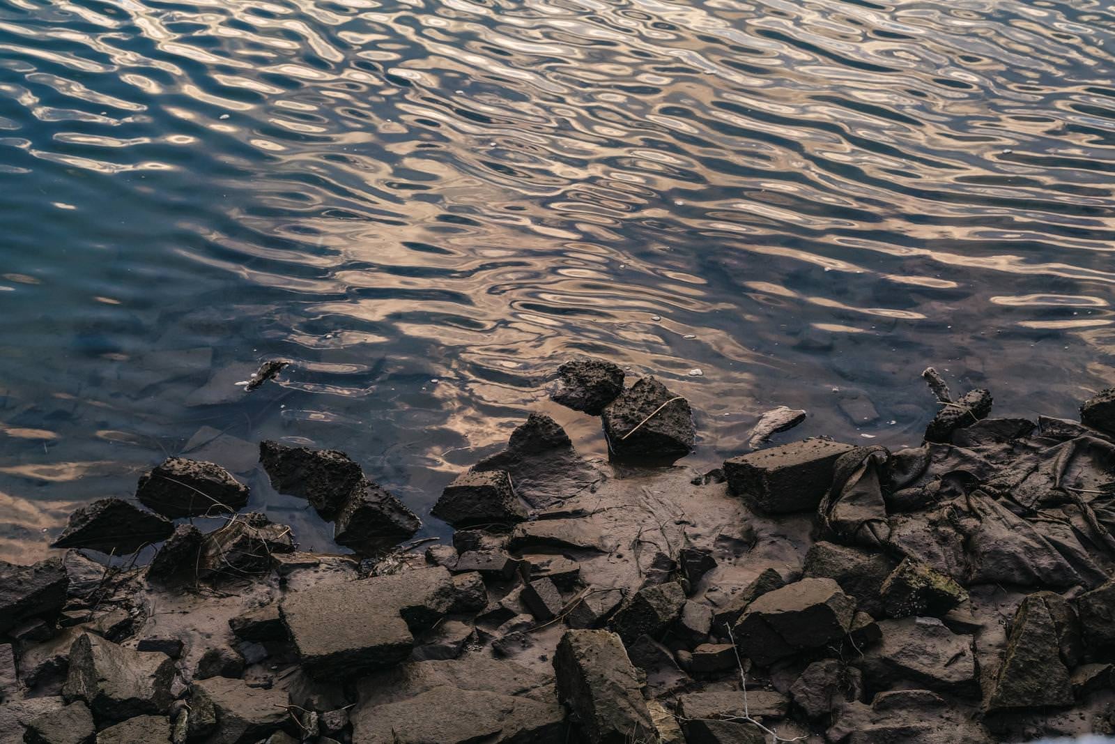「汚れた川岸とさざ波」の写真