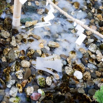 氷川神社の人形流しで水に浮かぶ紙片の写真