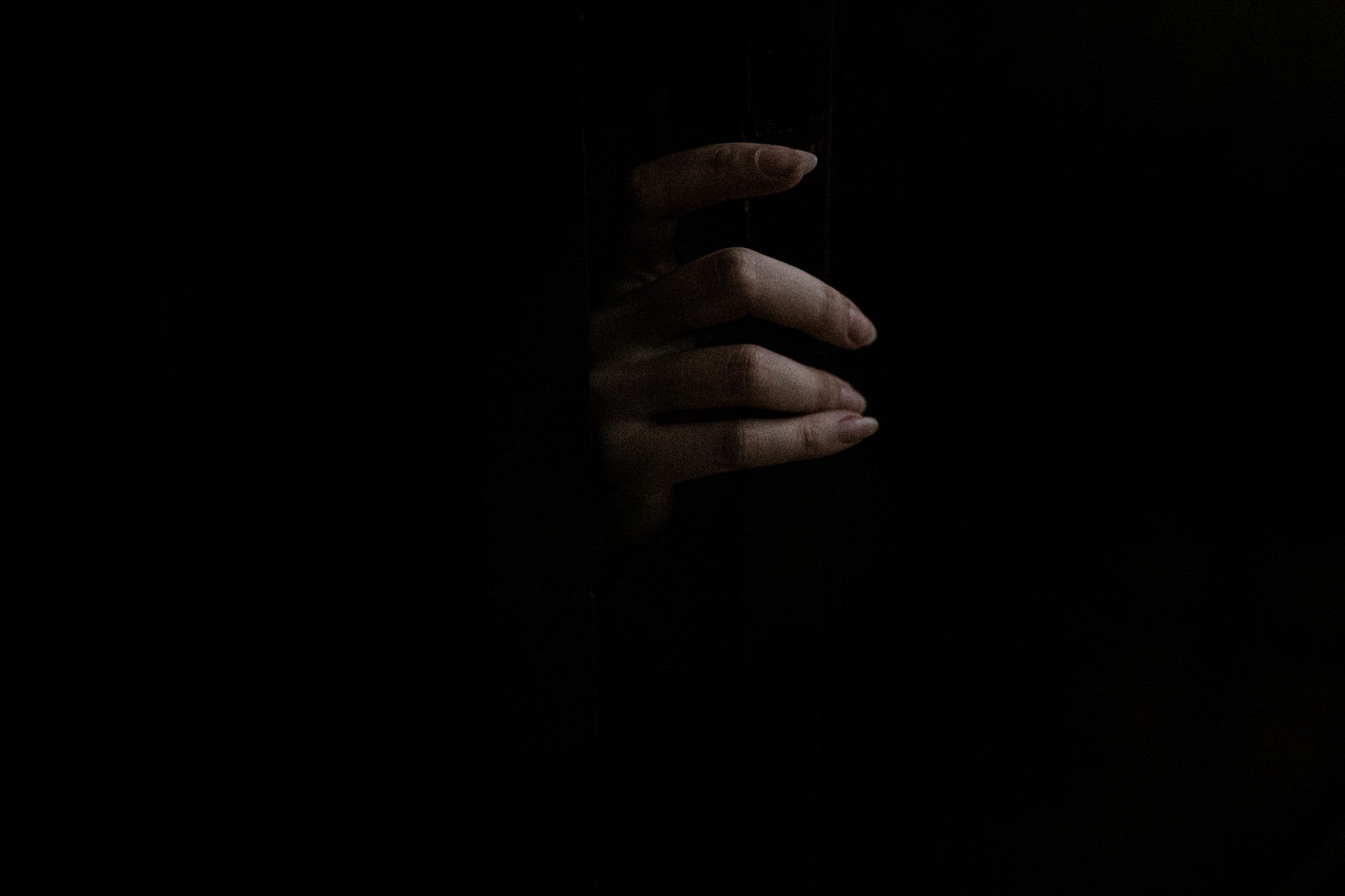 「暗闇からスゥーっと女性の手が」の写真