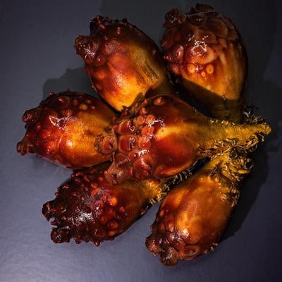 海の幸「ホヤ」の写真