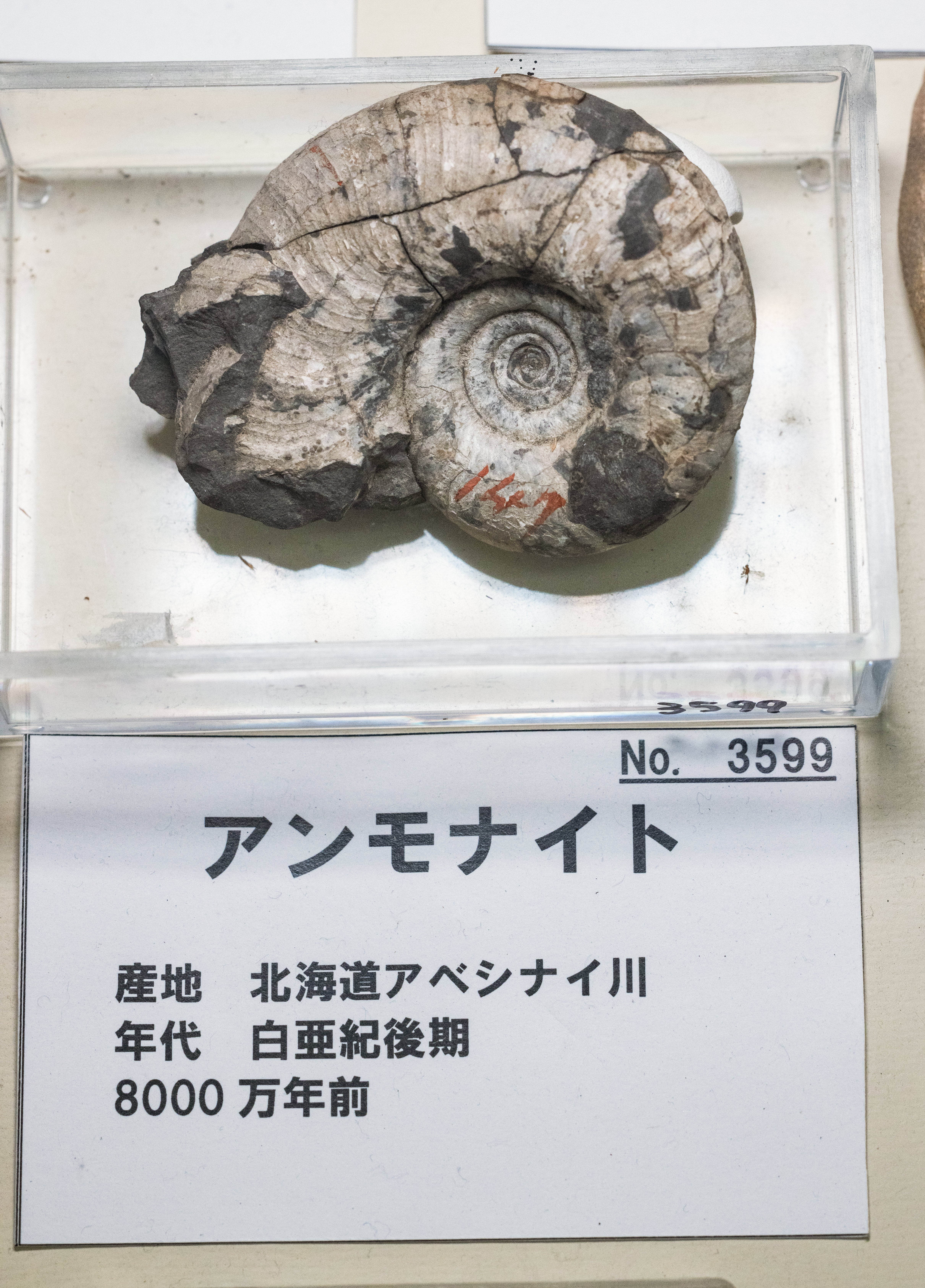 husigikann_annmonaito_kaseki_n