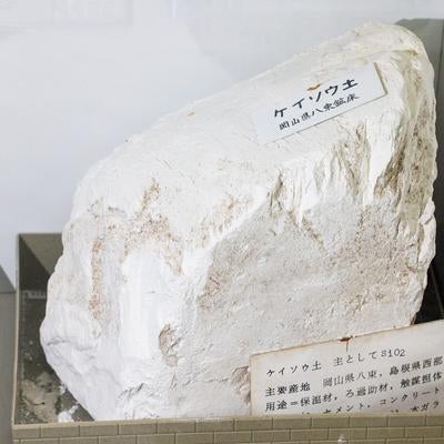 資料館で展示されているケイソウ土の標本の写真