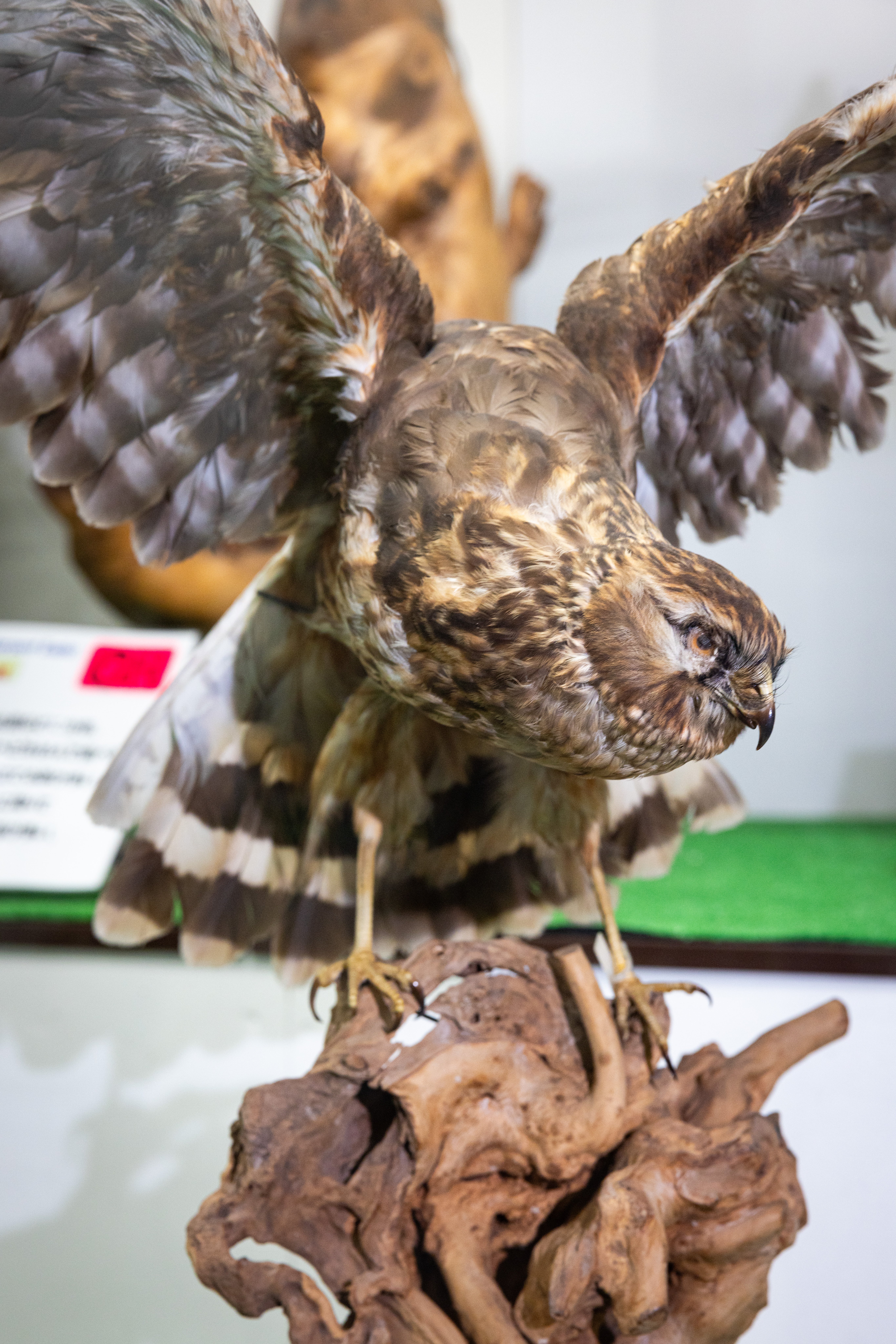 husigikann_tyouhi.jpg?&download=1