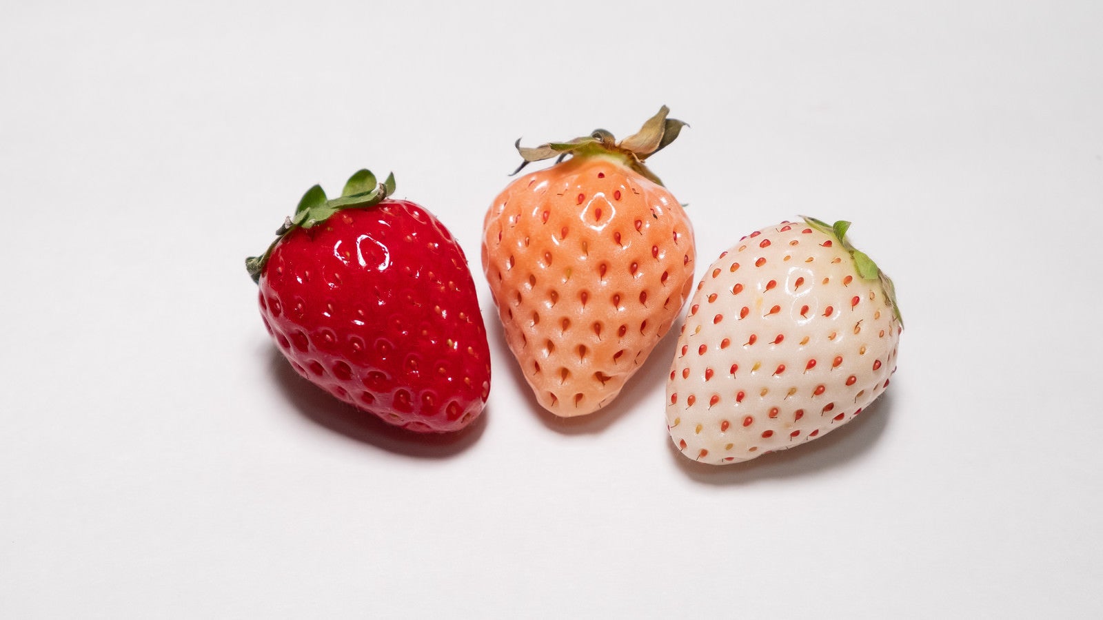「三種類の色が異なる苺」の写真