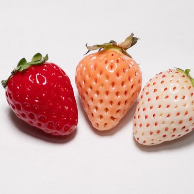 三種類の色が異なる苺の写真