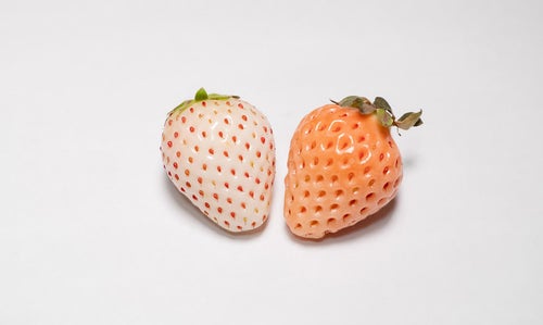 白い苺と薄い桃色の苺の写真