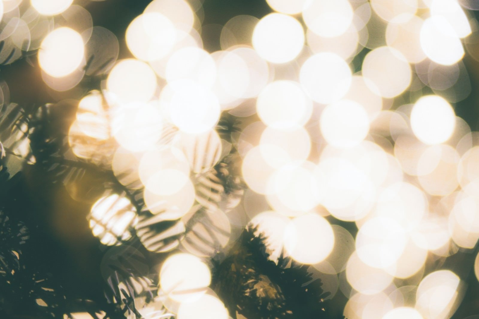 「光で溢れるクリスマスツリー」の写真