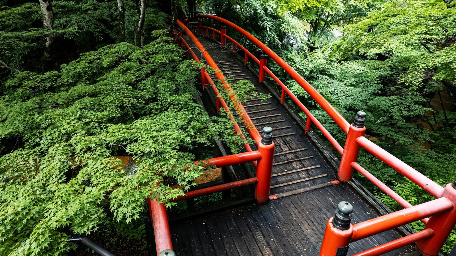 A landscape view looking down at Kawakashiwa Bridge (Kawakashiwa-bashi) at Ikaho Onsen (Ikaho hot spring) enveloped in fresh green maple leaves