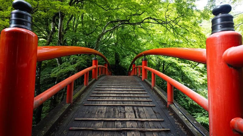 新緑に包まれた伊香保温泉の河鹿橋