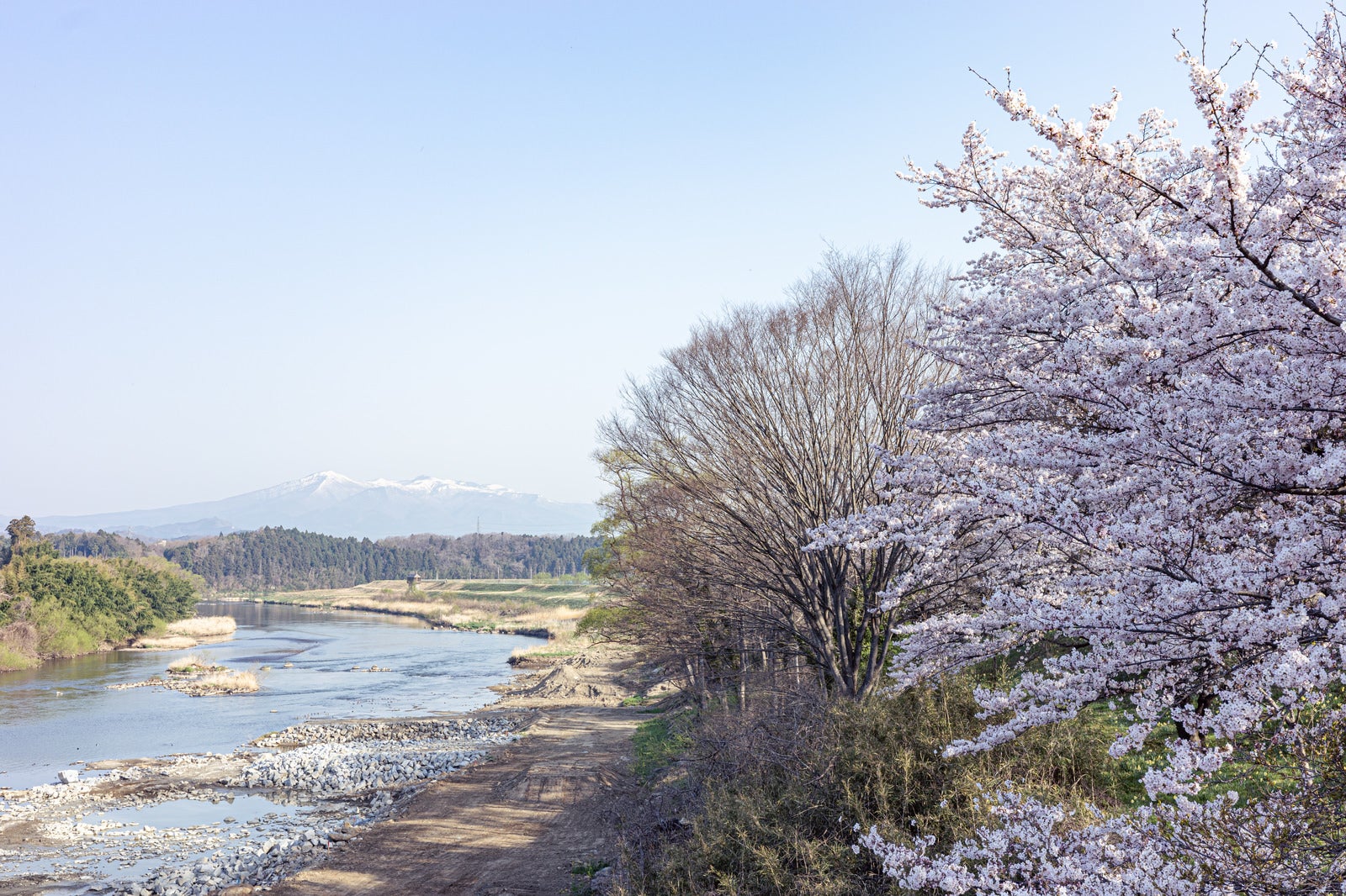 「阿武隈川と桜と安達太良山」の写真