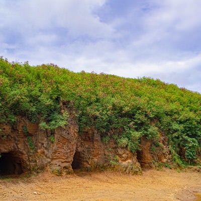 草に覆われた崖に残る壕の写真