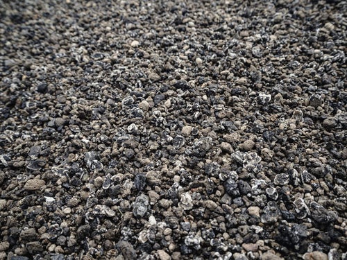地球上イタリアと硫黄島にしか存在しない翁浜のウズラ石の写真