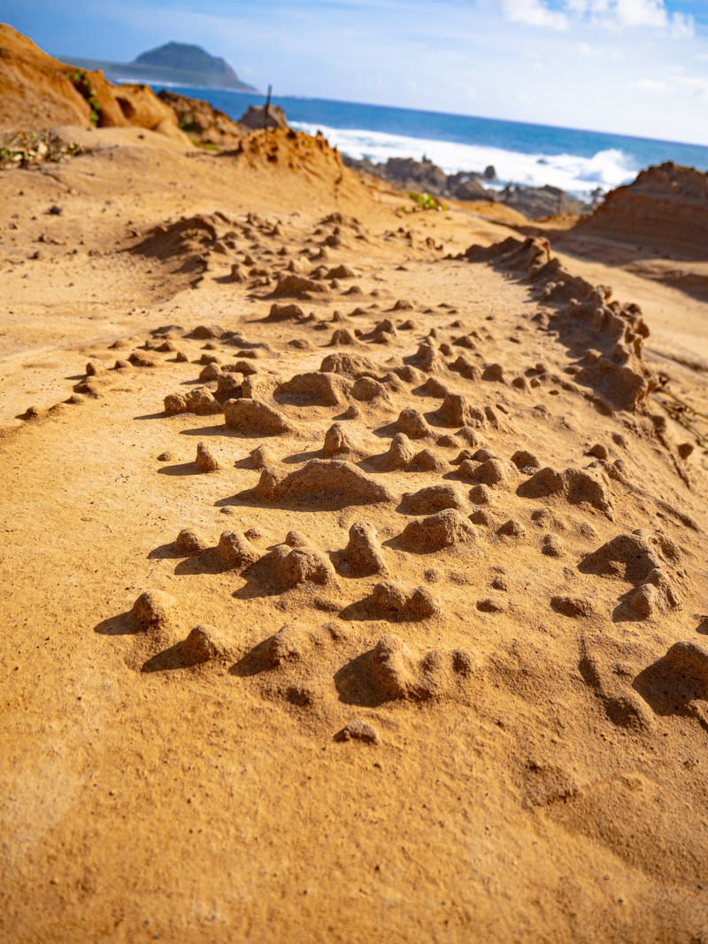 まるでニョキニョキと岩が生まれたように見える釜岩の岩肌の写真