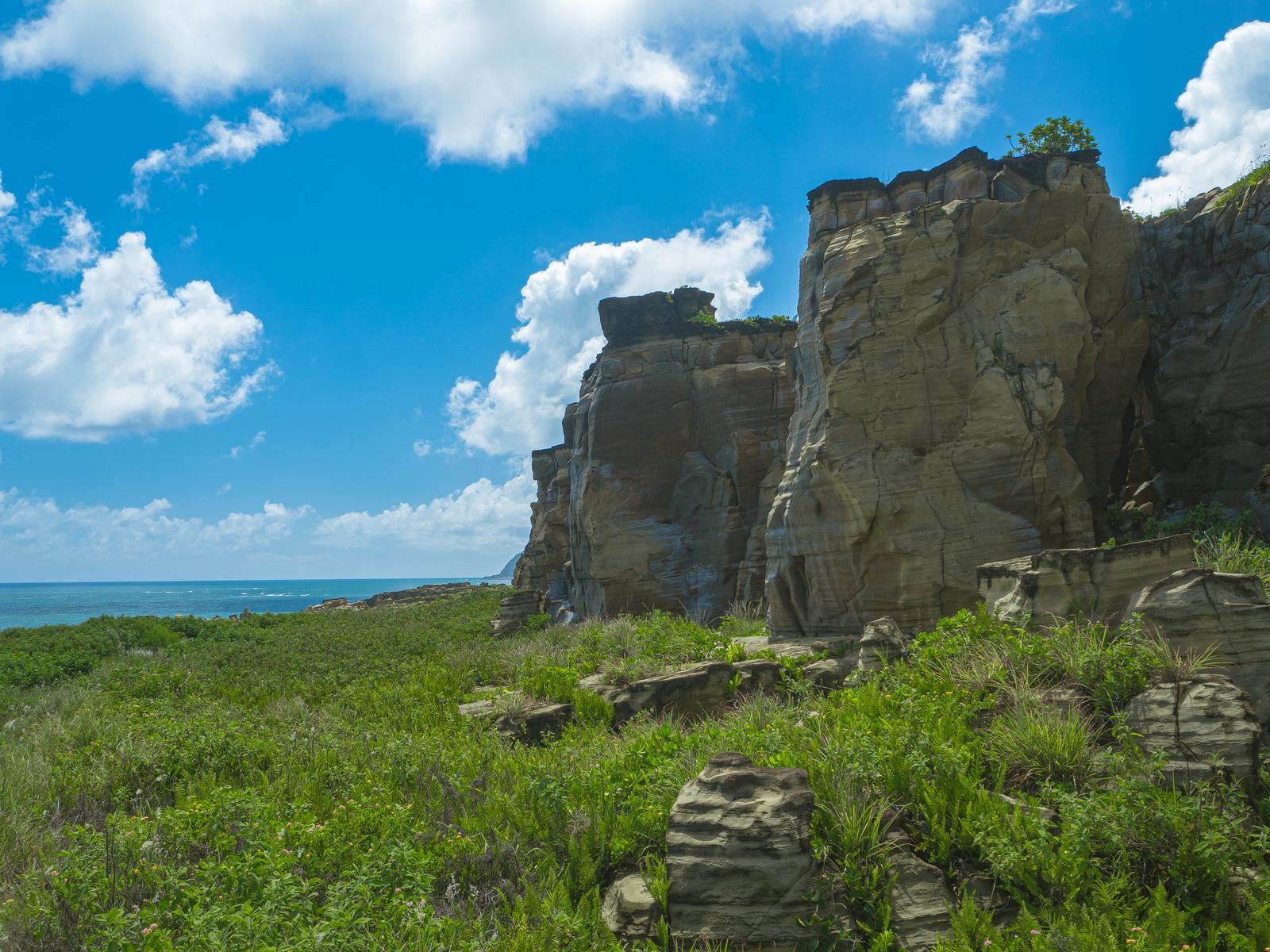 「青空を背に立つ神山海岸の崖と広がる緑」の写真