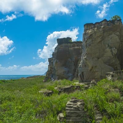 青空を背に立つ神山海岸の崖と広がる緑の写真