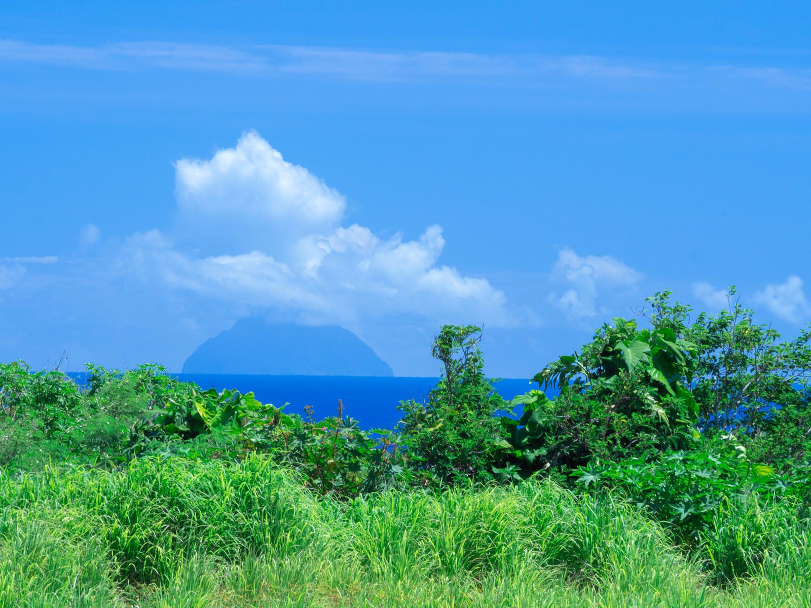 「鬱蒼と茂る草木の向こう見える南硫黄島」の写真